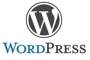 Build Business Website on WordPress